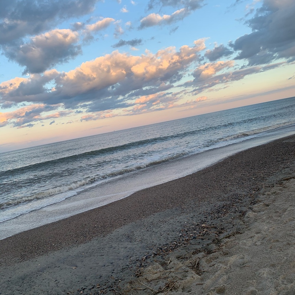 Meet your Posher, Ripley